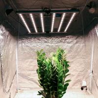 640W Grow-Light Nordrhein-Westfalen - Herzogenrath Vorschau