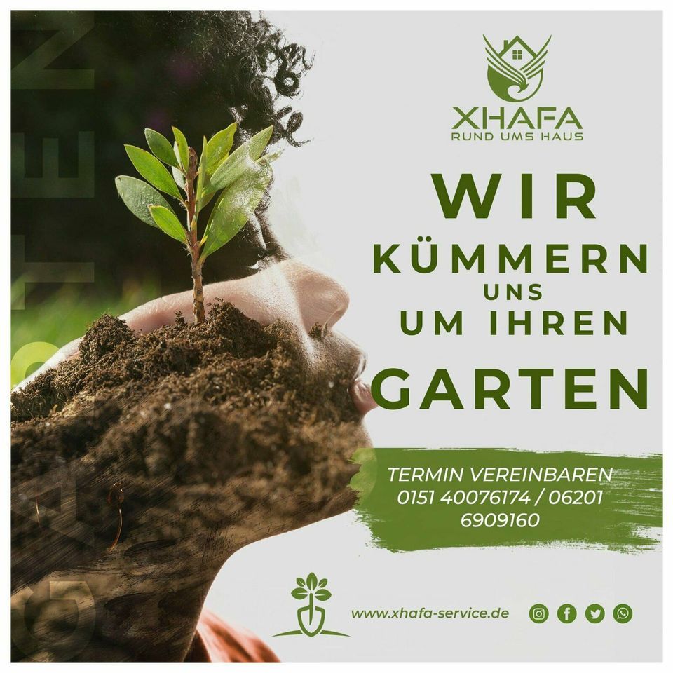 Gartenarbeit, Gartenbau, Rollrasen, Natursteinarbeiten in Hemsbach