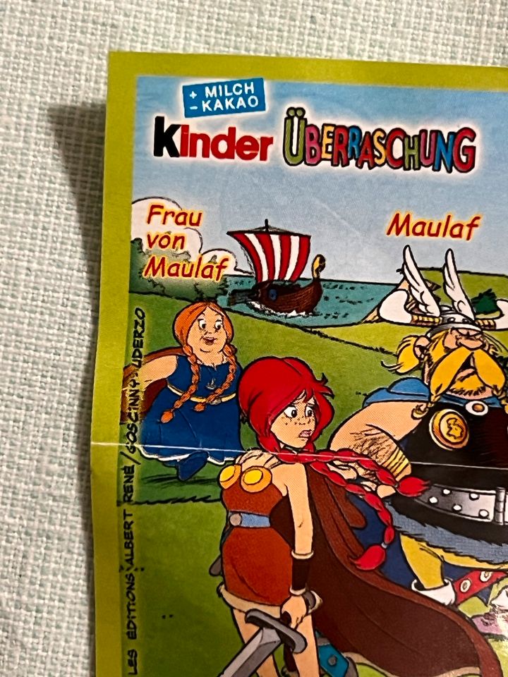 FERRERO ASTERIX UND DIE WIKINGER FRAU VON MAULAF MIT BPZ ÜEI 2007 in Rheinstetten