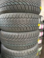 Winterreifen 175/65 R14 82T m+s NEU REIFEN Budget Winter Nordrhein-Westfalen - Hennef (Sieg) Vorschau