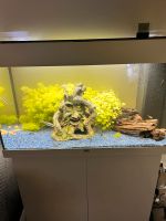 Juwel Aquarium 125 l mit Zubehör und Fische !!! TOP !! Dortmund - Innenstadt-West Vorschau