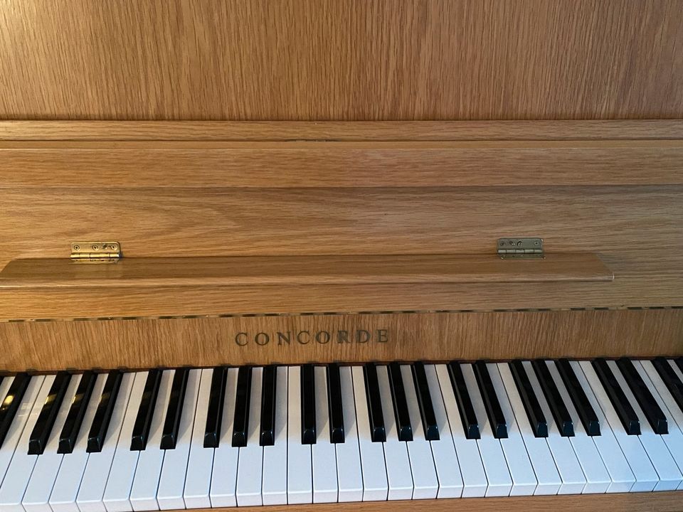 Klavier Young Chang Concorde, sehr guter Zustand in Neumünster