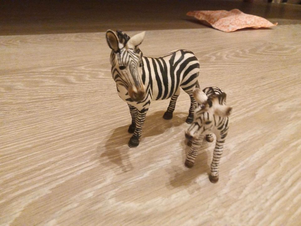Schleich Zebra Mutter und Kind in Heidelberg