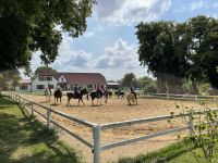 Reitferien Reiterferien Ferienlager Sommerferien Berlin - Mitte Vorschau