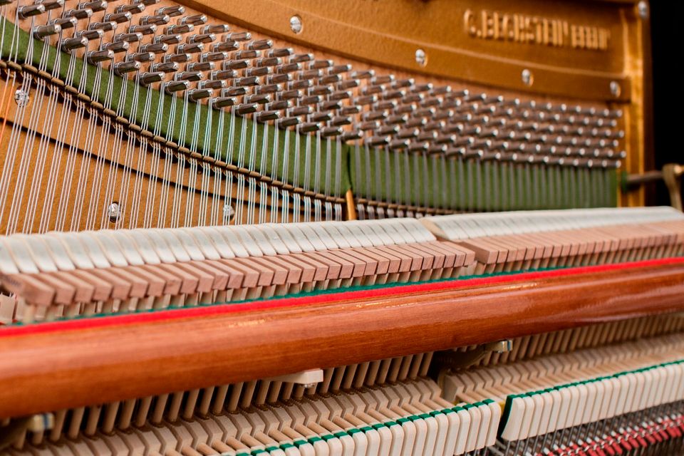 Klavier C.Bechstein Concert 8, gebraucht in Freiburg im Breisgau