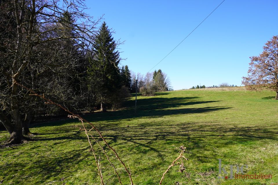 Tutzing/Unterzeismering - Wald- und Wiesenfläche oder Weidegrund mit Seeblick! in Tutzing