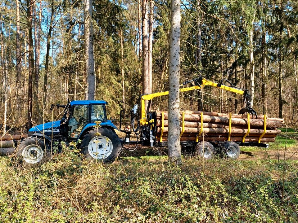 14,5tGG  Rückewagen Holzrückewagen Holzkran in Salzwedel