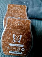 SCENTSY CHILLIN & GRILLIN Nordrhein-Westfalen - Bergkamen Vorschau