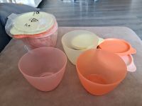 Dosen, Kühlschrank, tupperware, NEU Schleswig-Holstein - Flensburg Vorschau