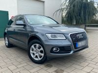 Audi Q5 2.0 TDI 110kW quattro - Top Zustand Hessen - Schmitten Vorschau