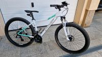 Kinder- und Jugendfahrrad Carver Strict 110, Mädchen und Jungen Sachsen - Treuen Vorschau