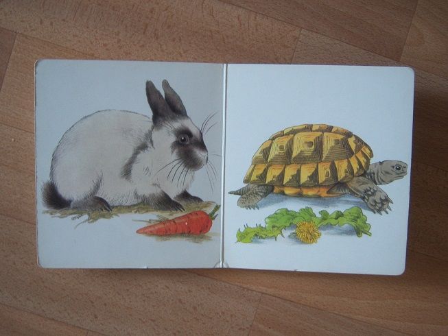 DDR Kinderbücher + Tiere in Haus und Garten, Tiere im Haus... in Leipzig