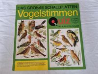 Das große Schallplatten Vogelstimmen Quiz Schallplatte/LP/Vinyl Bayern - Freyung Vorschau