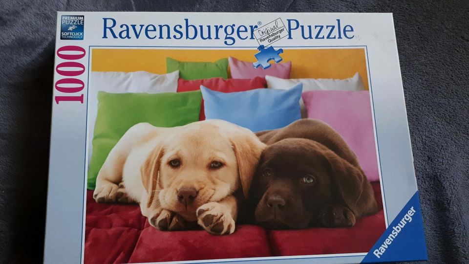 1.000 Teile Puzzle in Haynrode