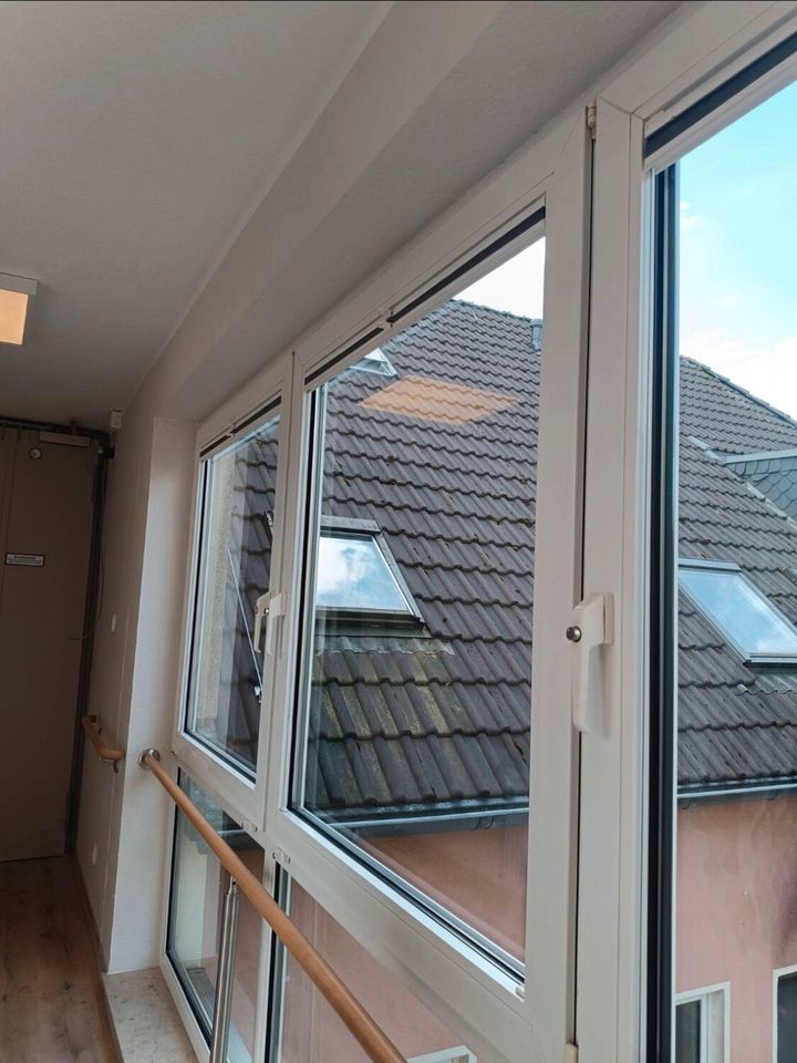 Fensterputzer Glasreiniger in Herne