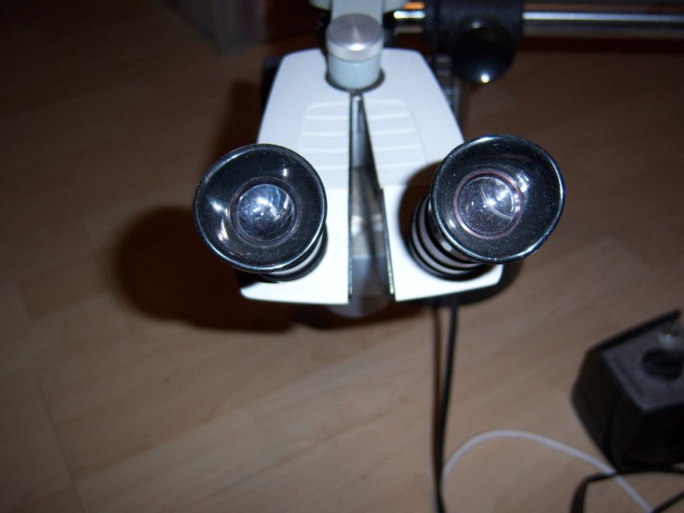 Stereo Microscope in Bad Krozingen