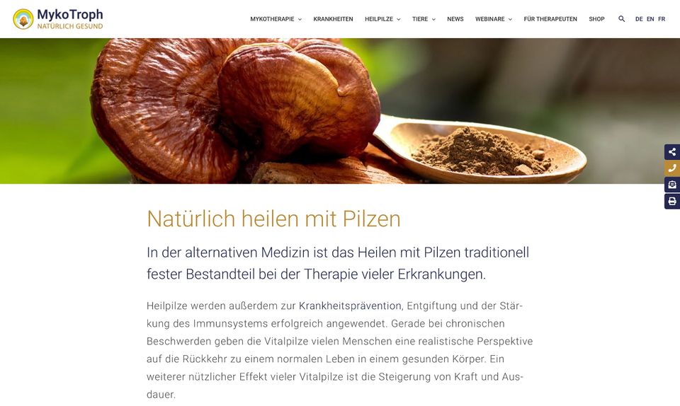 Website | Onlineshop erstellen in Eschborn