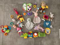 Baby Spielzeug ab 50 Cent Nordrhein-Westfalen - Ibbenbüren Vorschau