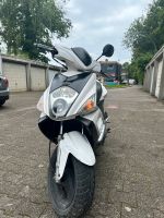 Tgb bullet pegasus roller 50 cc Nordrhein-Westfalen - Herne Vorschau