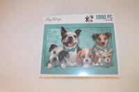 Amy Design Puzzle 1000 Stück +/- 68x49 cm Hunde spielen sammeln D Sachsen - Freiberg Vorschau