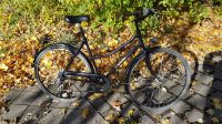 28" Damenrad Fahrrad Nordrhein-Westfalen - Schwerte Vorschau