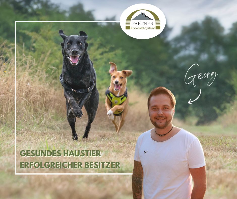 Network Marketing für Hund- und Katzenliebhaber/innen in Rosenheim