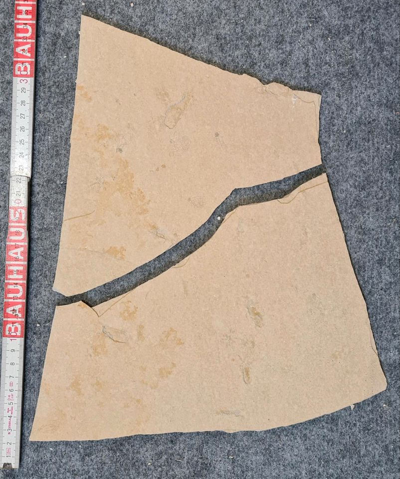 Kalksteinplatten aus Sollnhofen ca 3-5mm dick in Wehringen