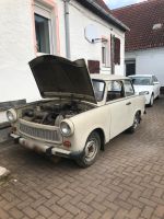 Tausche/Verkaufe 2 Trabant 601 Limos Sachsen-Anhalt - Bad Lauchstädt Vorschau