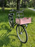 Fahrrad Hollandrad Frau Paula 48 cm 7 G Hannover - Ricklingen Vorschau