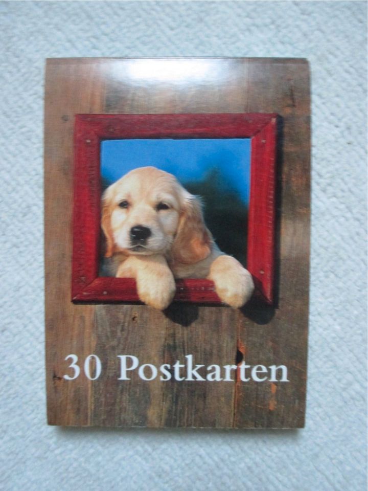 Postkartenbuch: Hunde; in Olching