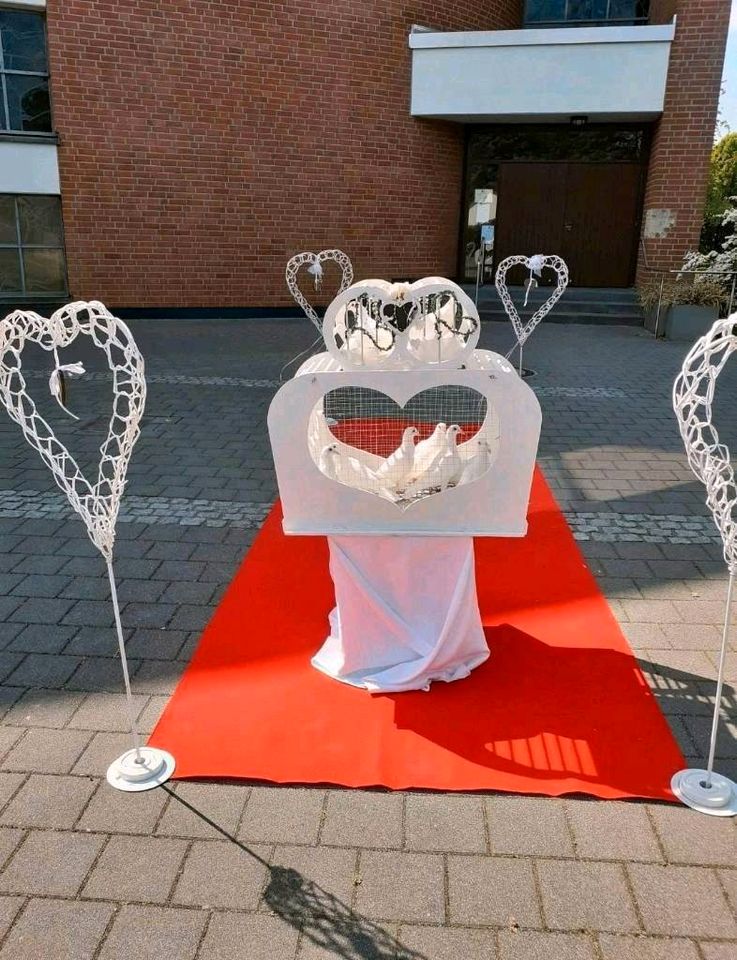 weiße Hochzeitstauben / weisse Tauben Hochzeit in Herten