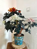 Chinesischer Bonsai Jade Baum ca. 70 cm Hessen - Dieburg Vorschau