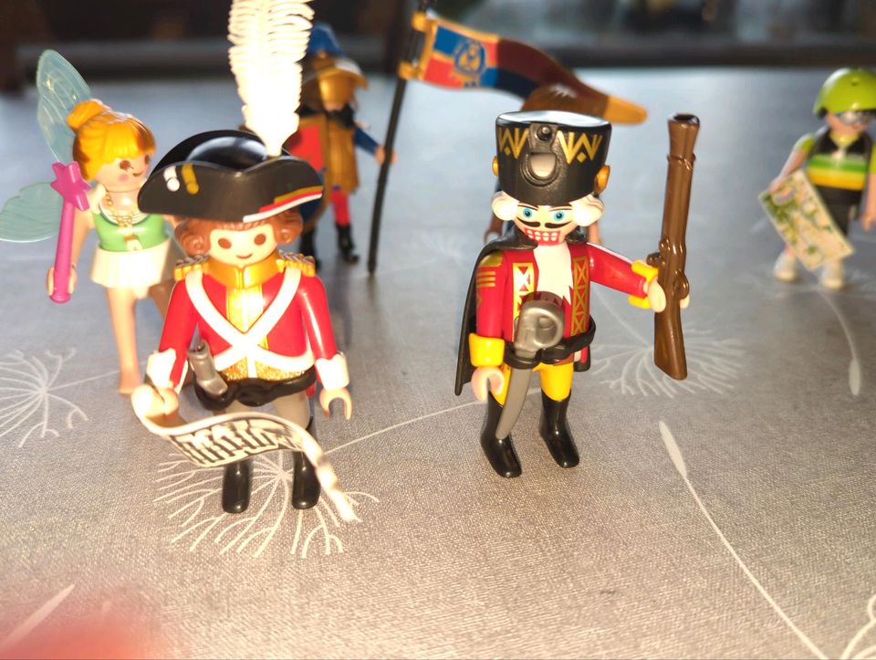 Playmobil Spielfiguren in Frickenhausen