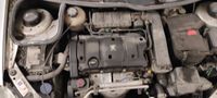 Peugeot 206 Motor NFU 1,6l 80kw Komplett Nordrhein-Westfalen - Wesel Vorschau