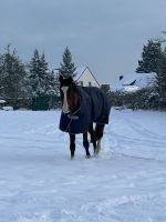 Reitbeteiligung gesucht Nordrhein-Westfalen - Stolberg (Rhld) Vorschau