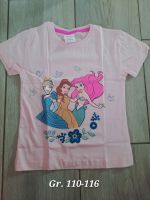 T-Shirt Disney Princess Gr. 110-116 NEU Sachsen - Reinhardtsdorf-Schöna Vorschau