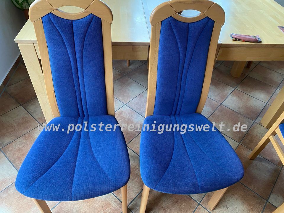 Polsterreinigung, Couch, Sofa, Polstermöbel in Leipzig