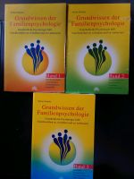 Grundwissen der Familienpsychologie: Band 1-3 Hessen - Waldems Vorschau