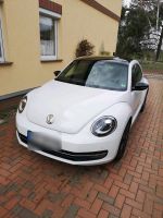 VW Beetle Cup Sondermodell top Zustand Ludwigslust - Landkreis - Grabow Vorschau