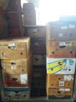 25 Bananenkisten Bücher randvoll gepackt - Bitte Text lesen Rheinland-Pfalz - Piesport Vorschau