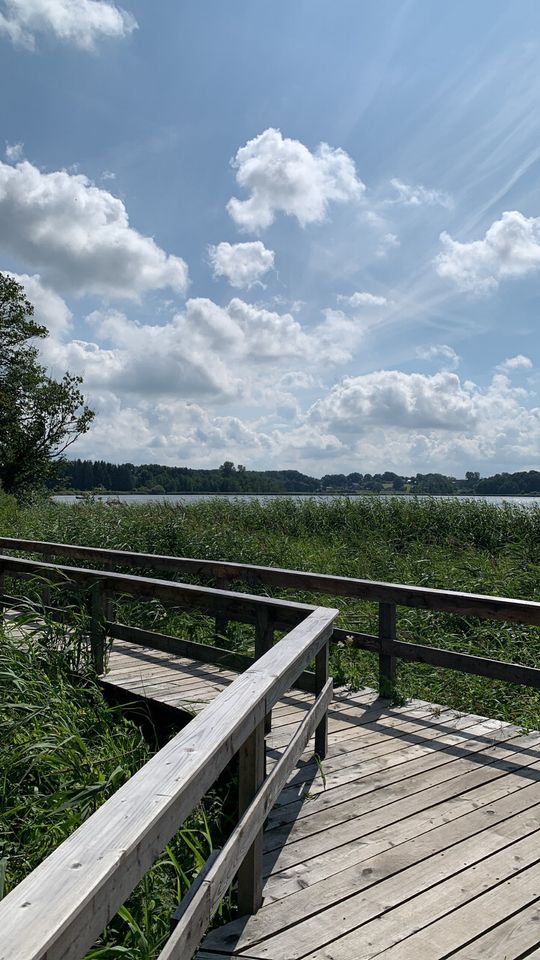 Ferienwohnung “Schlei-Oase” in skandinavischem Stil bei Schleswig in Fahrdorf