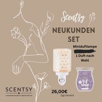 Scentsy Neukundenset, Starterset Thüringen - Nessetal Vorschau