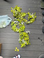 Kunstliche Blumen Girlande grün weiss Niedersachsen - Oldenburg Vorschau