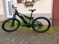 Raymon Fullray E nine 5.0 E-mtb Saarland - Mandelbachtal Vorschau