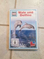 Wale und Delfine, Was ist was, DVD Bayern - Altenstadt an der Waldnaab Vorschau