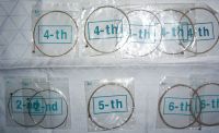 10 E-Gitarren Stahl-Saiten NEU 2xB(2nd)/5xD(4th)/1xA(5th)/2xE(6th Nordrhein-Westfalen - Moers Vorschau