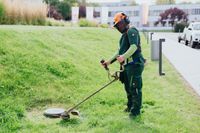 Mitarbeiter/in für die Grünanlagenpflege! Hessen - Baunatal Vorschau