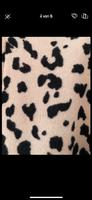 Animal Print Jacke Gr.S Dresden - Striesen-Ost Vorschau