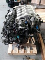 Ford SHO v8 Motor Yamaha Duratec v8 swap miata drift tuning Nordrhein-Westfalen - Bocholt Vorschau