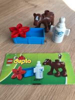 LEGO DUPLO 10521 Kälbchenfütterung Niedersachsen - Hankensbüttel Vorschau